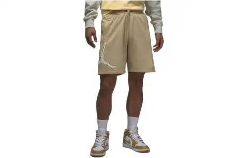 Jordan BRAND Shorts Men's Light Brown