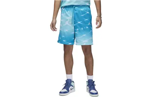 Jordan Casual Shorts Men's Blue Moderate