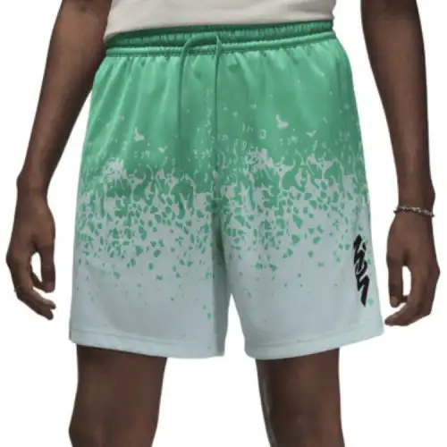 JORDAN Zion Men's Shorts