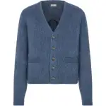 DIOR Sweaters Men's Blue V Neck Moderate Cardigan