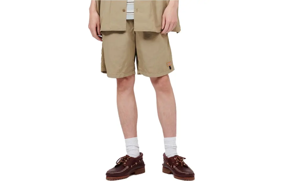 Dickies Casual Shorts Men's Moderate