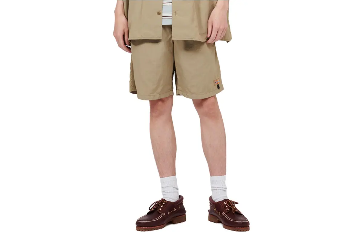 Dickies Casual Shorts Men's Moderate