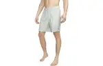 Nike Sports Shorts Men's Light Silver Moderate