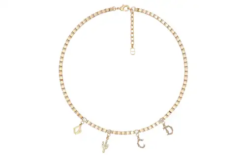 DIOR X Cactus Jack Necklace