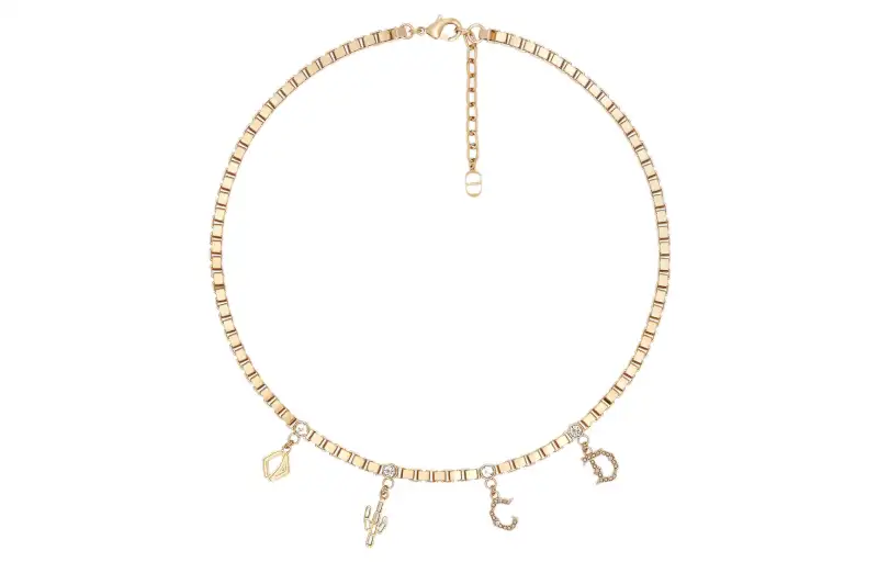 DIOR X Cactus Jack Necklace