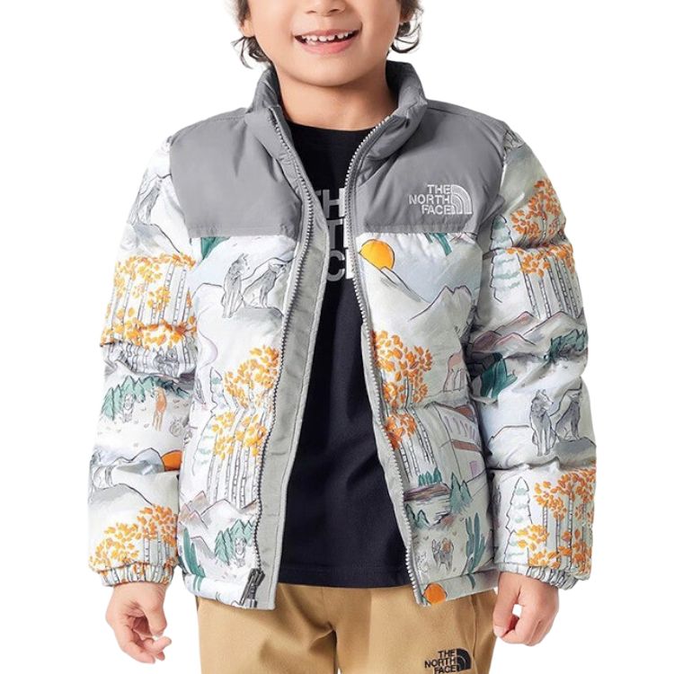 Куртка The North Face THE NORTH FACE ICON (разноцветный)