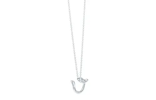 TIFFANY & CO. Elsa Peretti® Sterling Silver, Diamond Necklaces Unisex Silver
