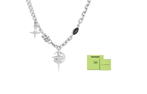 CARLHEIM Zirconium Titanium Steel Necklaces Unisex