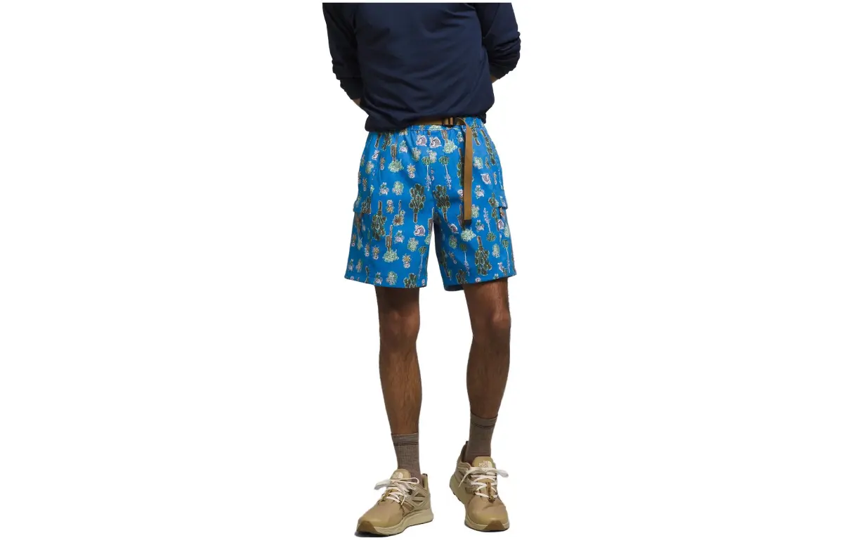 THE NORTH FACE Casual Shorts Men's Blue Moderate