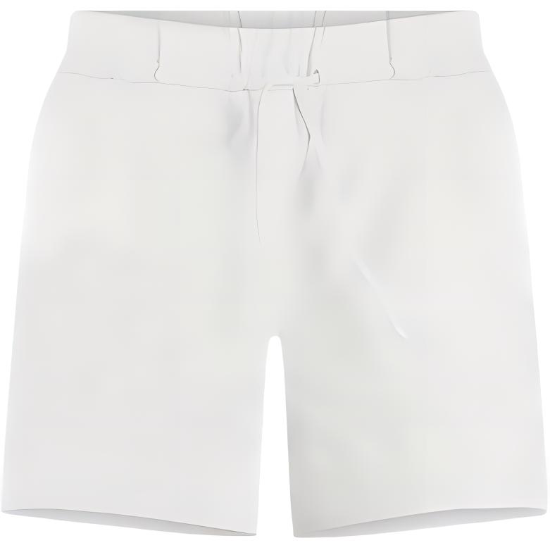 Lululemon Sports Shorts Women’s