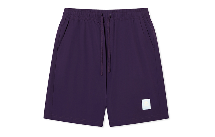 Мужские штаны Kappa PLAYER Shorts (мультиколор)