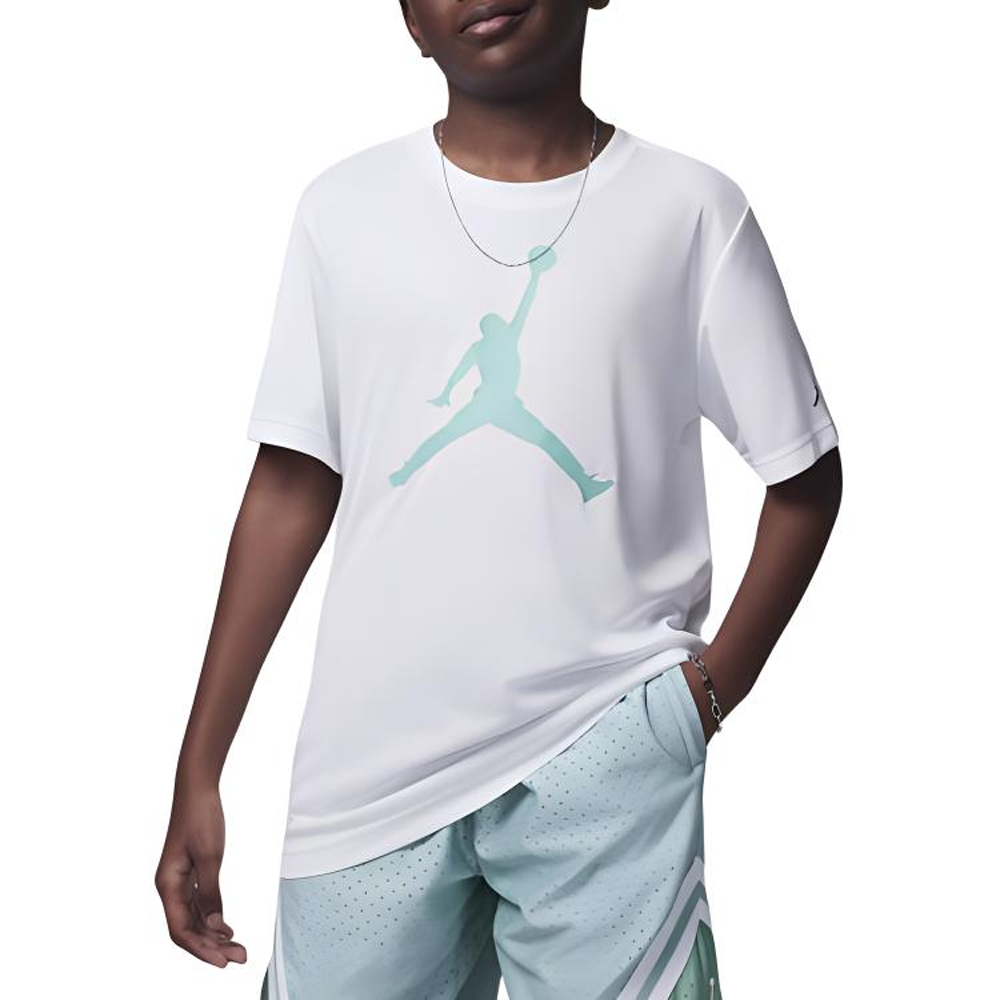 Футболка Jordan Dri-FIT (бело-зеленая)