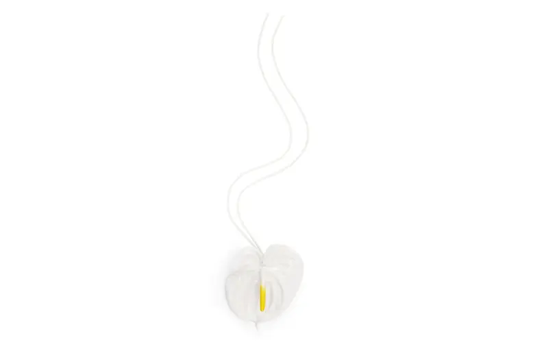 LOEWE Necklaces Women's White