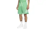 Nike Sports Shorts Men's Spring Green Moderate
