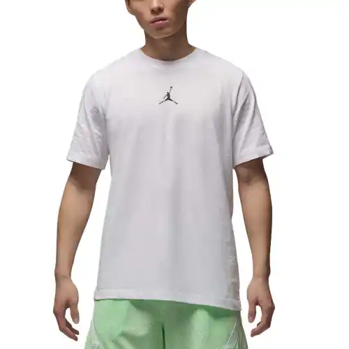 Jordan Sport Men's Dri-FIT T-Shirt