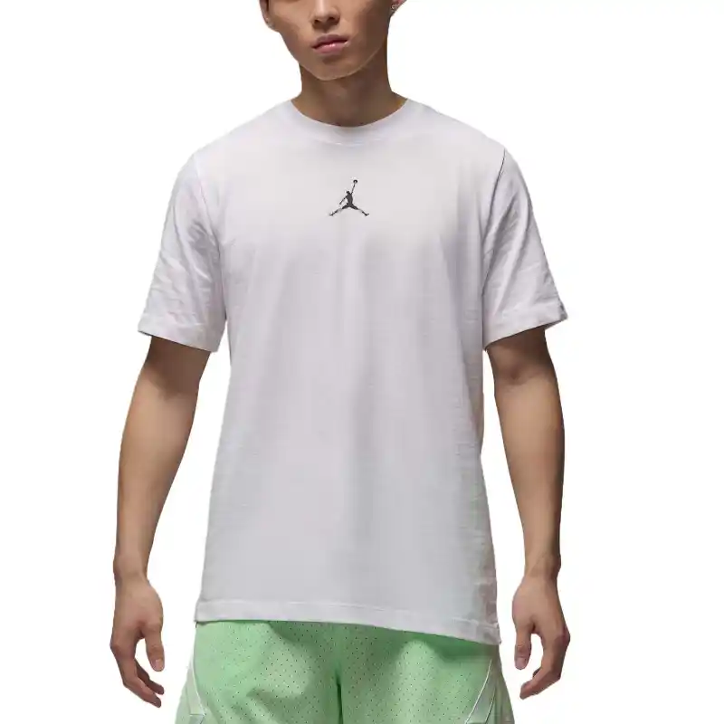 Jordan Sport Men's Dri-FIT T-Shirt
