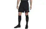 Nike Casual Shorts Men's Black Blue Moderate