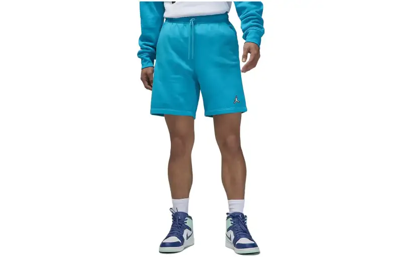 Jordan Casual Shorts Men's Blue Moderate