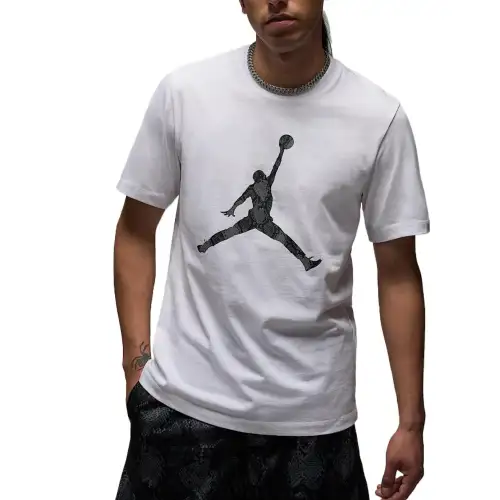 Jordan Sport Men's Dri-FIT T-Shirt