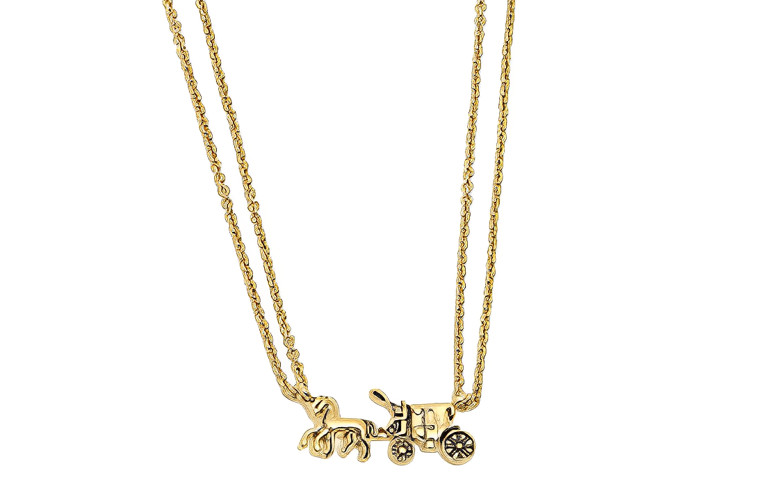 Женское necklace COACH (золотое)