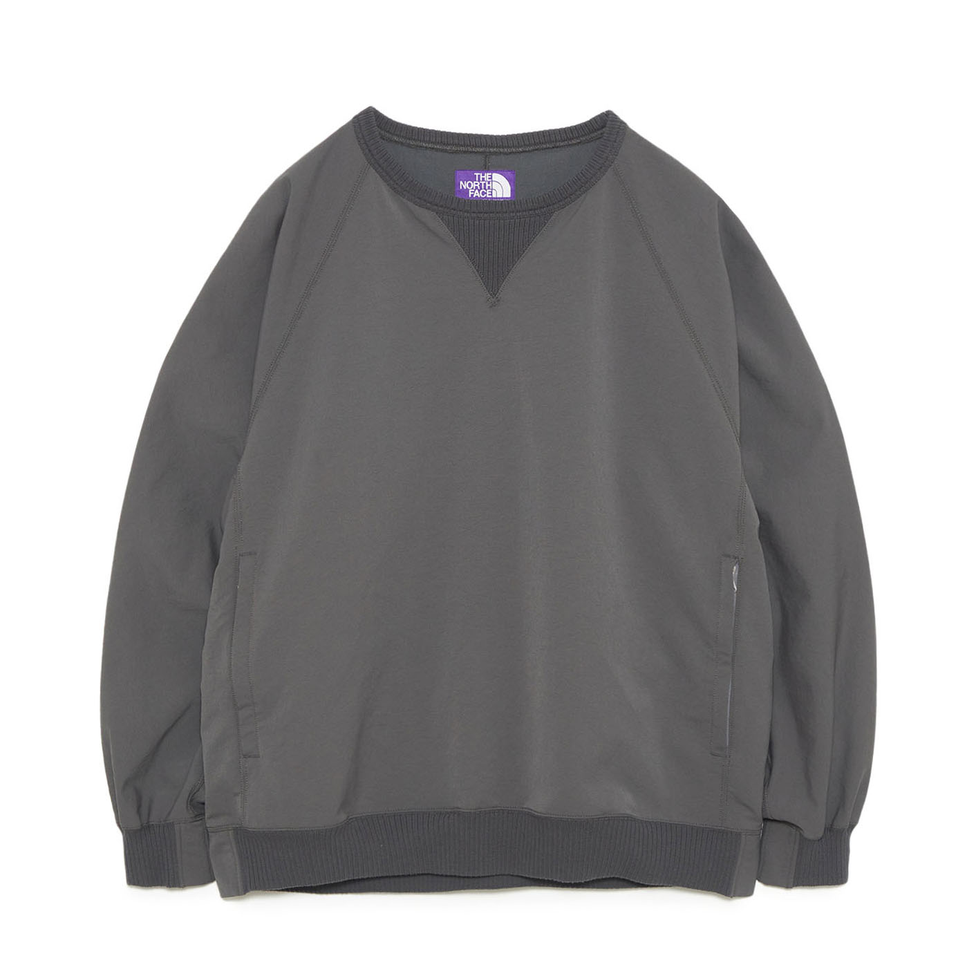 Мужское худи The North Face PURPLE LABEL ALPHADRY (серое)