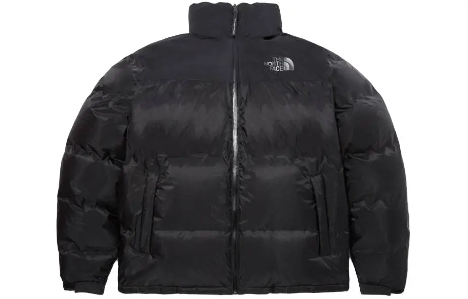 THE NORTH FACE 1996 Down Jacket Men's Black