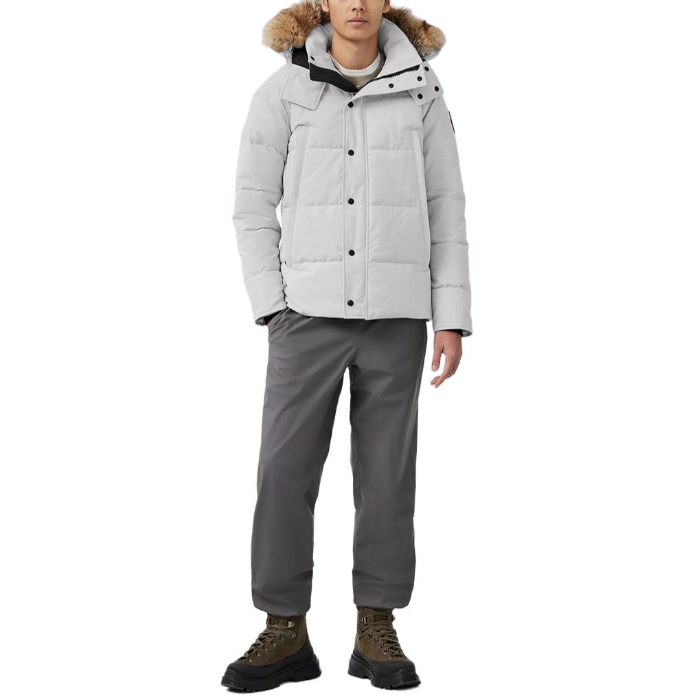 Мужские куртка Canada Goose Wyndham (серая / серебряная береза) — фото 2
