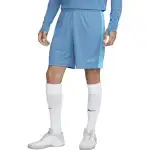 Nike Casual Shorts Men's Blue Moderate
