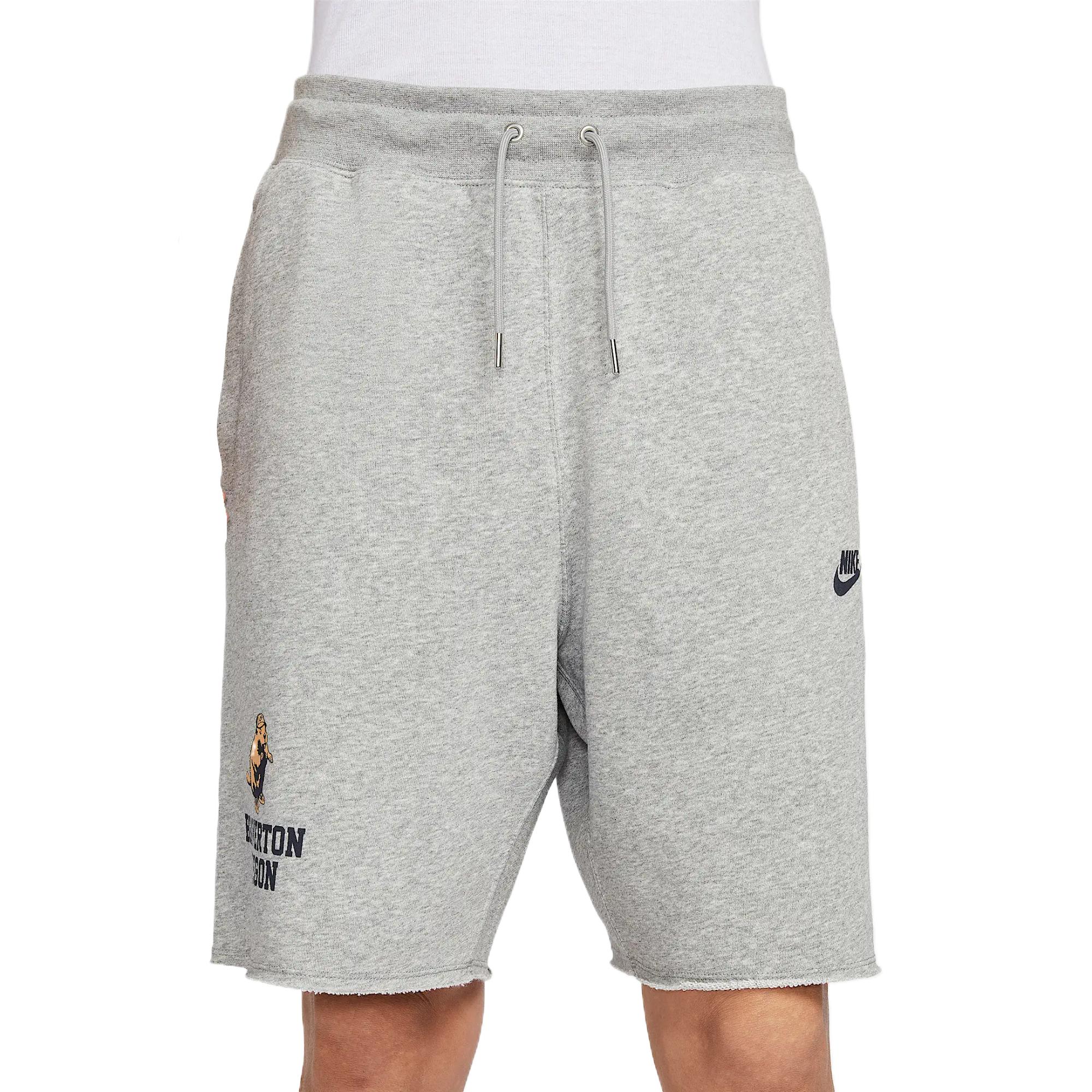 Мужские шорты Nike (серые)
