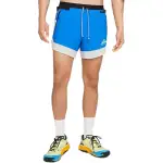 Nike Casual Shorts Men's Blue Moderate