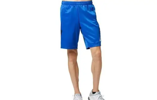 ASICS Casual Shorts Men's Blue Moderate