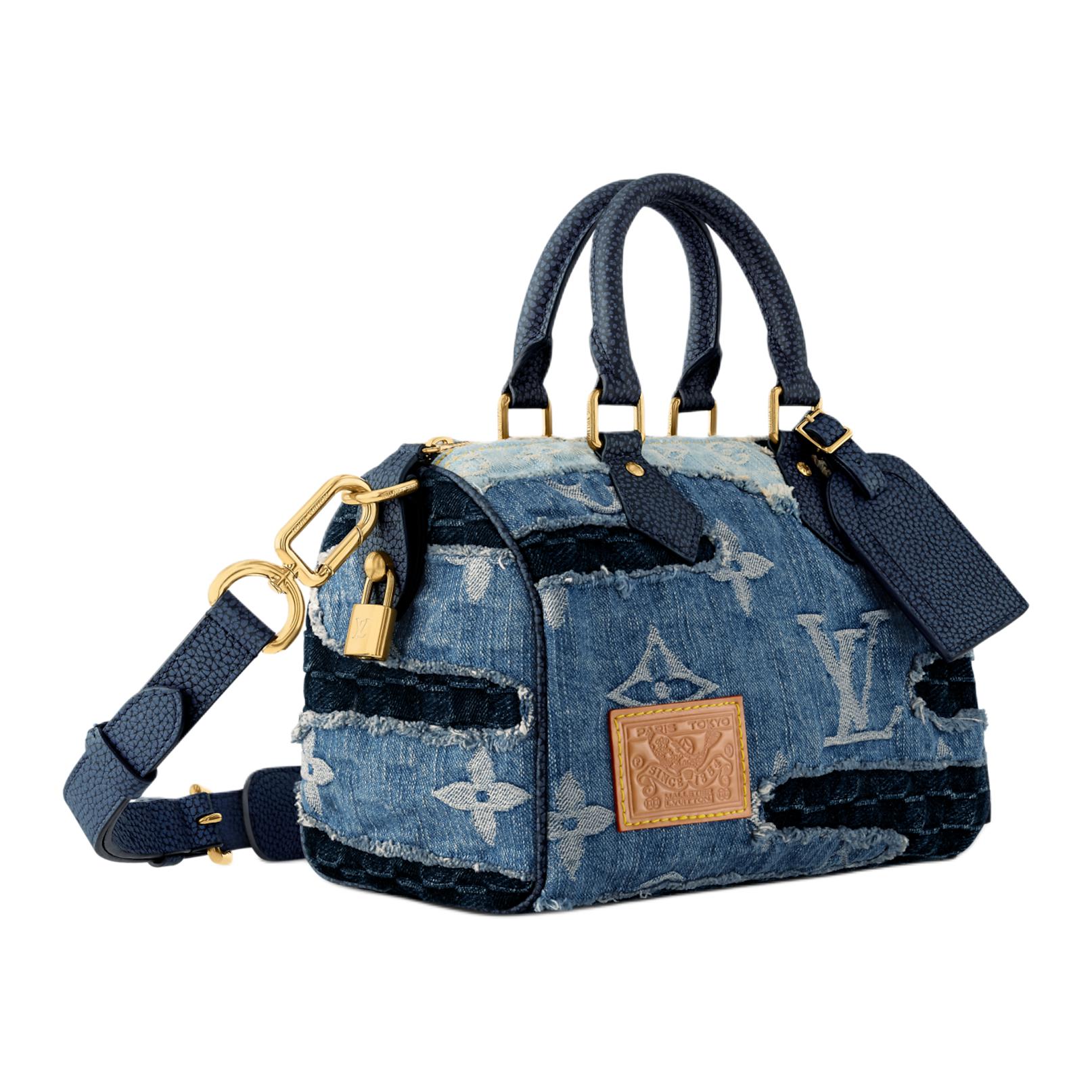 Мужская сумка Louis Vuitton x Nigo Speedy 25 (синяя) — фото 2