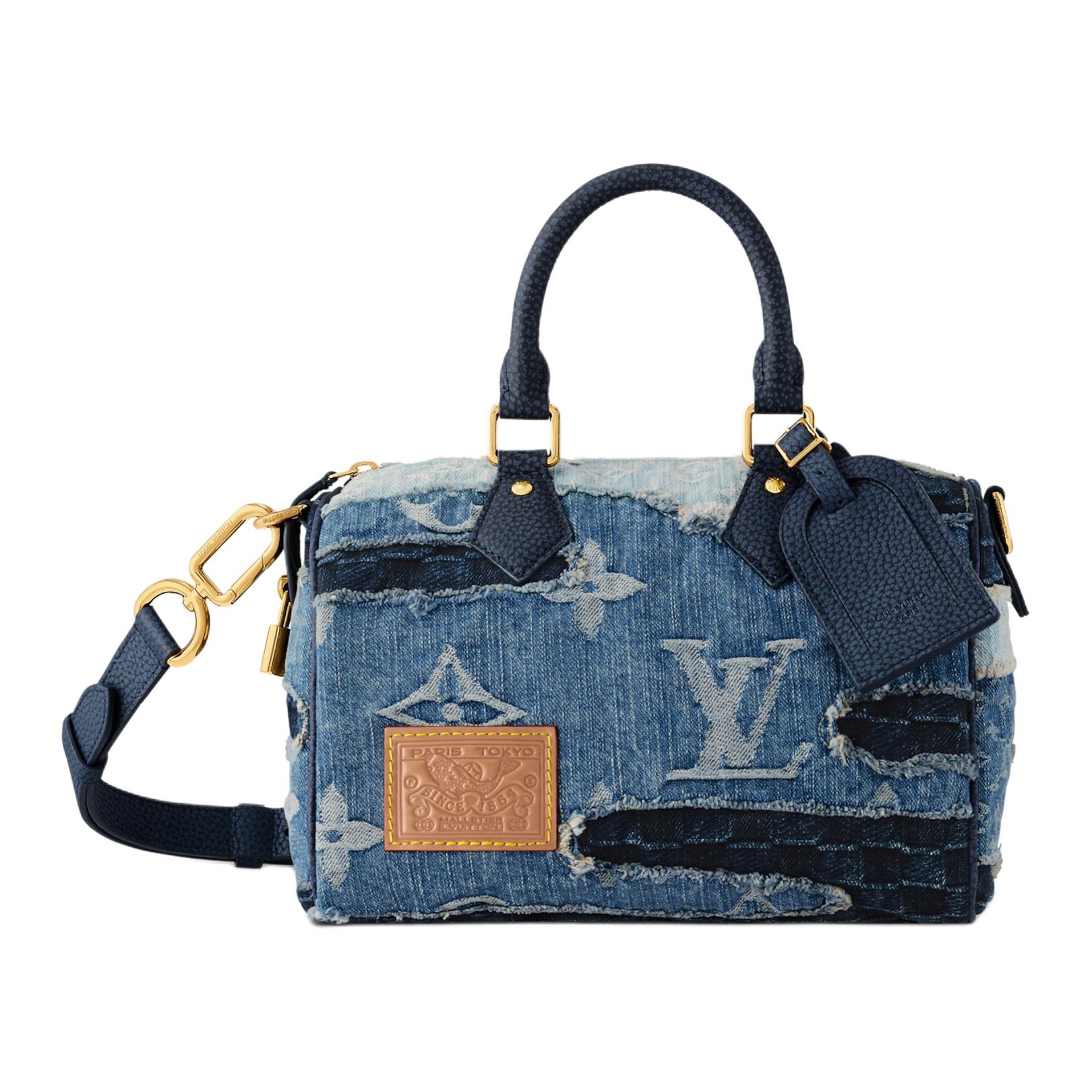 Мужская сумка Louis Vuitton x Nigo Speedy 25 (синяя)