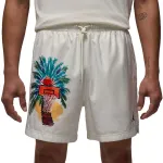 Jordan Essentials Men's Shorts