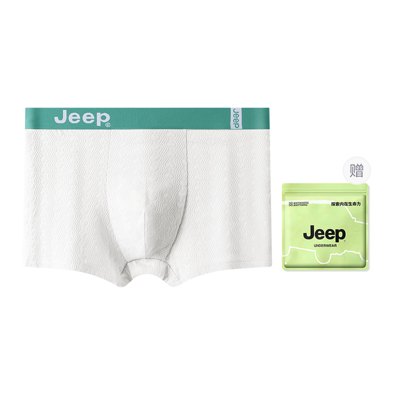 Мужские штаны Jeep Jeep 10A (разноцветный)