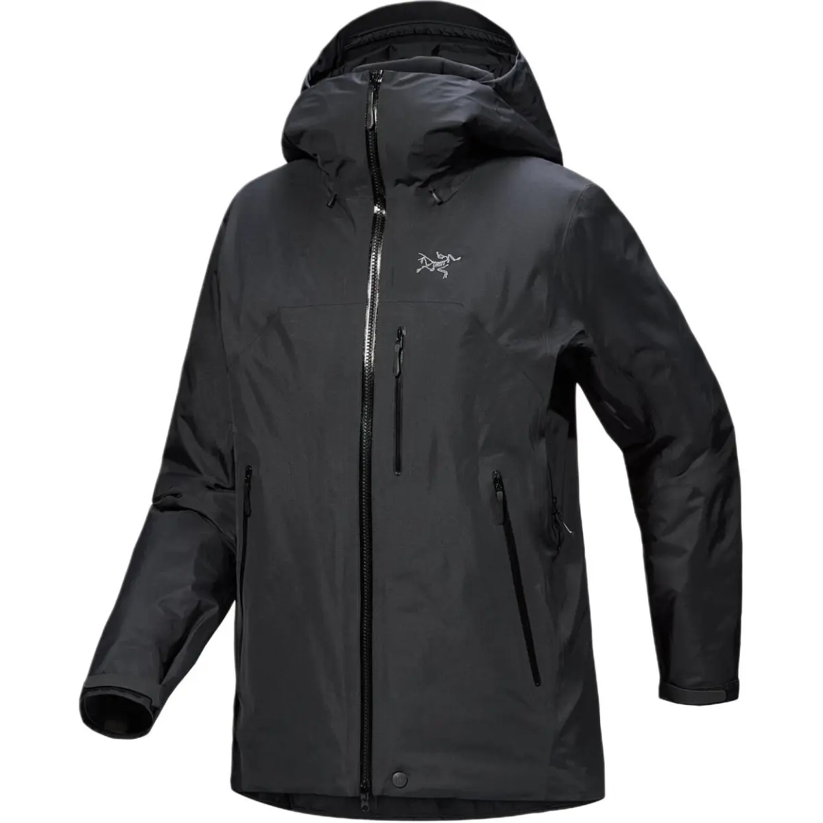 Arc'teryx BETA GORE TEX INSULATED Puffer Jacket Women's
