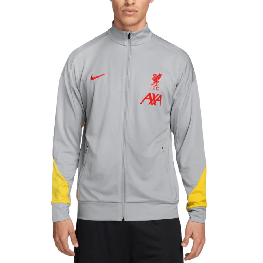 Nike LiverpoolFC 24/25 Academy Pro Sweatshirt Soccer Jersey Men’s Gray