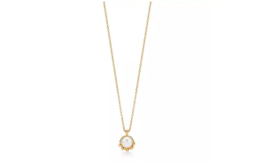 TIFFANY & CO. Paloma Picasso Necklaces Women's Gold