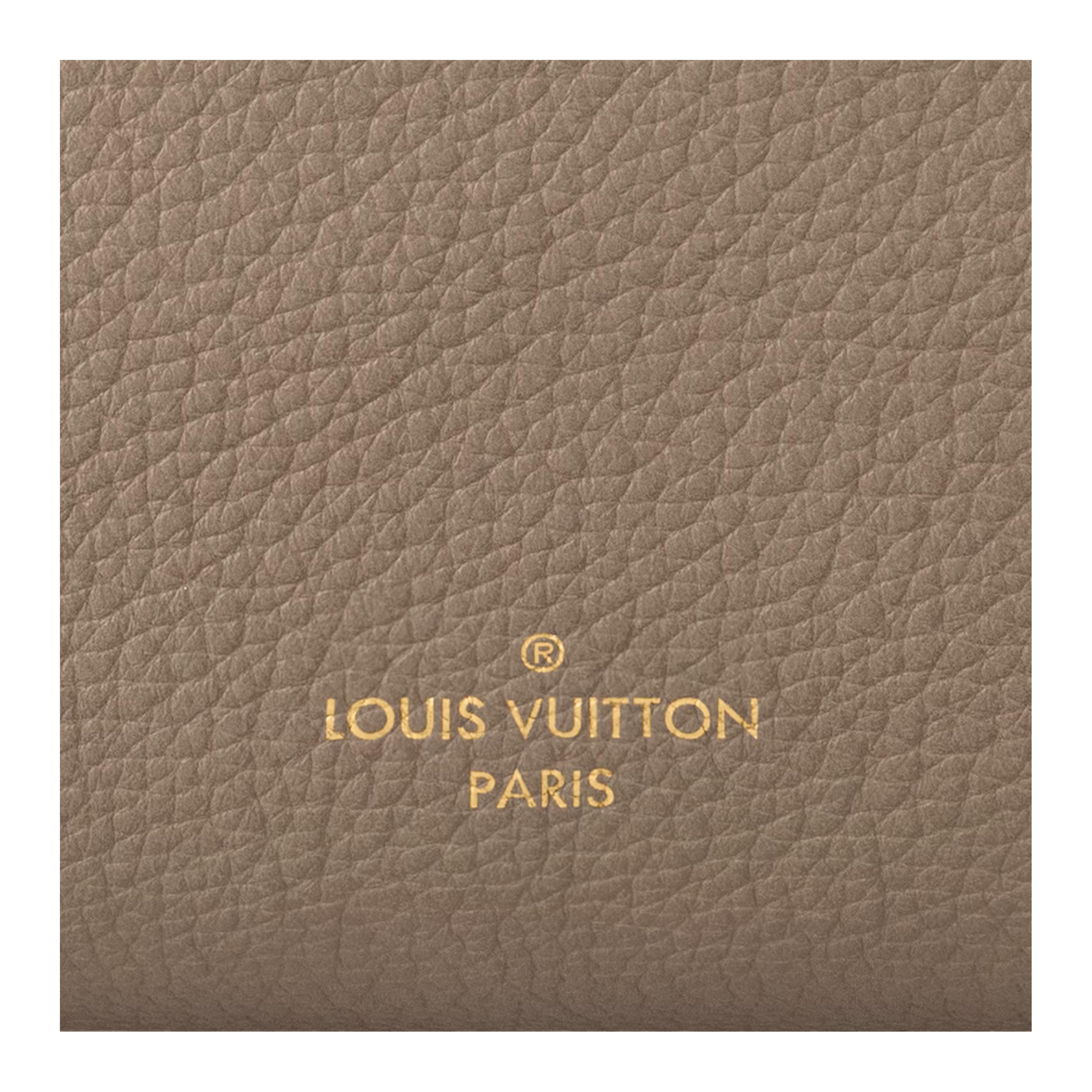 Женская сумка Louis Vuitton LOUIS VUITTON SIDE TRUNK (/taupe) — фото 5