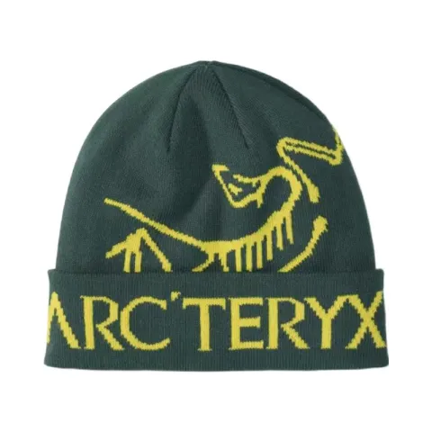Arcteryx   Beanies Unisex Green