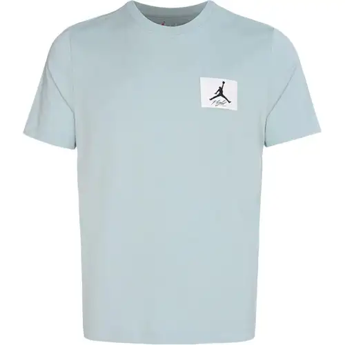 Jordan Air T Shirts Men's Light Blue Crew Neck Moderate