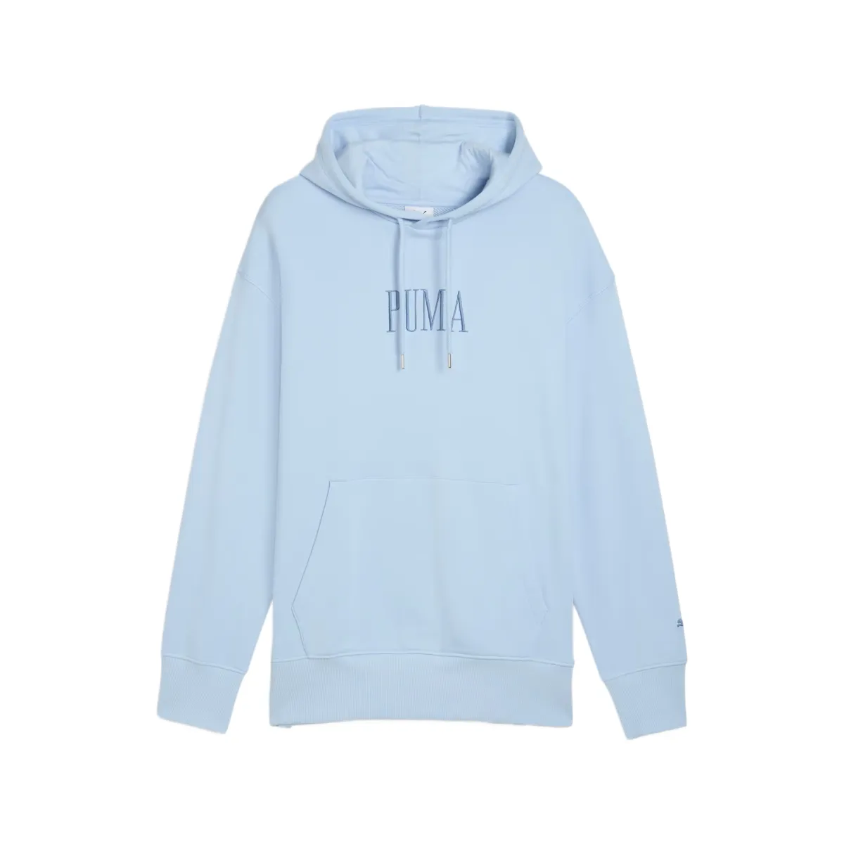 PUMA Premium Sweatshirts Unisex Light Blue Hooded Moderate Regular