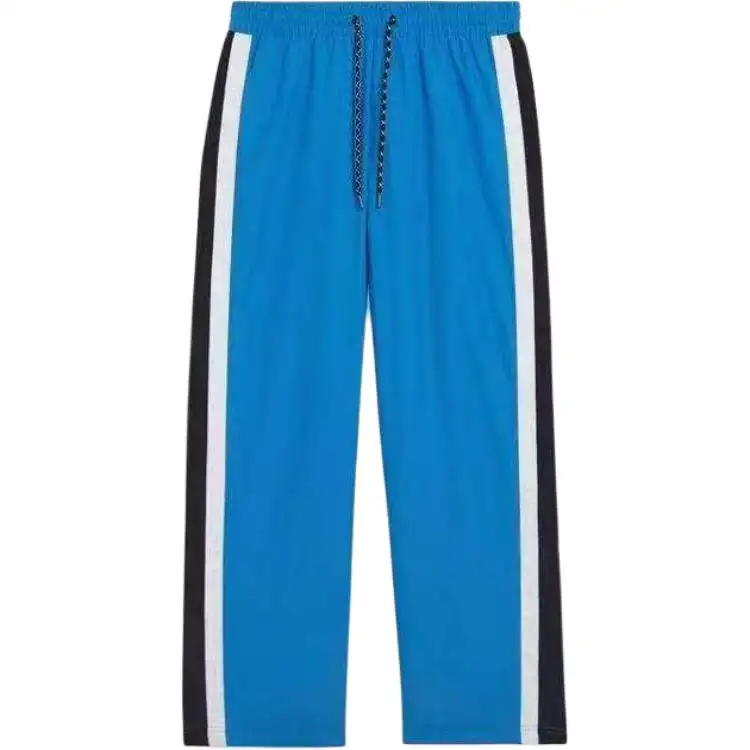 Burberry Casual Pants Men's Blue Moderate Straight Fit Pants