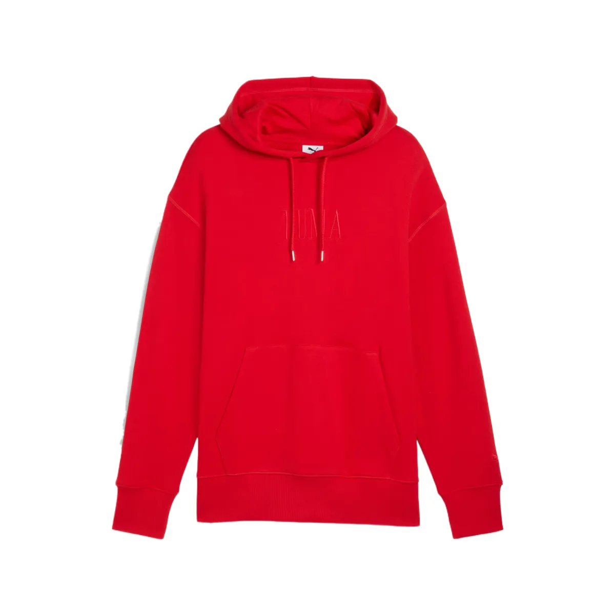Puma Premium Essentials Graphic Hoodie