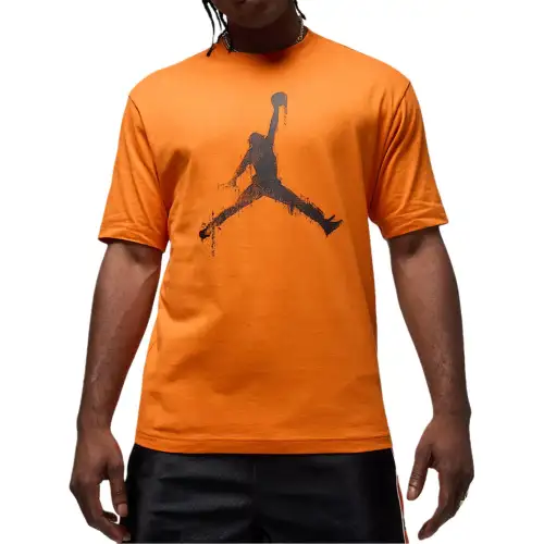 Jordan Apparel T Shirts Men's Saffron Crew Neck