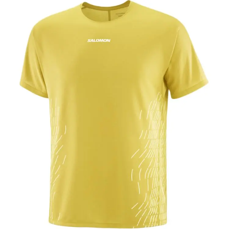 SALOMON T Shirt Men's Water Celery Green/Gray White