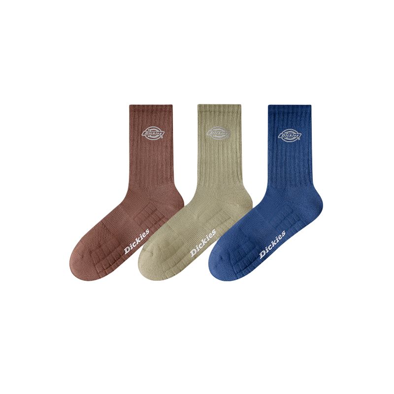 Носки Dickies D252MJ489 (белые)