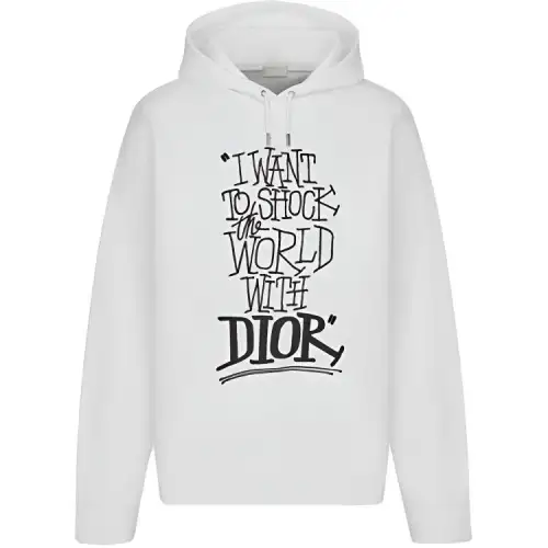 DIOR Quarterly New Products Sweatshirts Men's White Hooded Moderate Regular