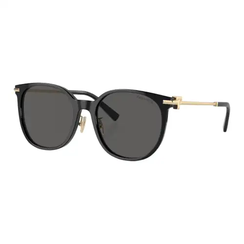 TIFFANY & CO. Round Frame Sunglasses