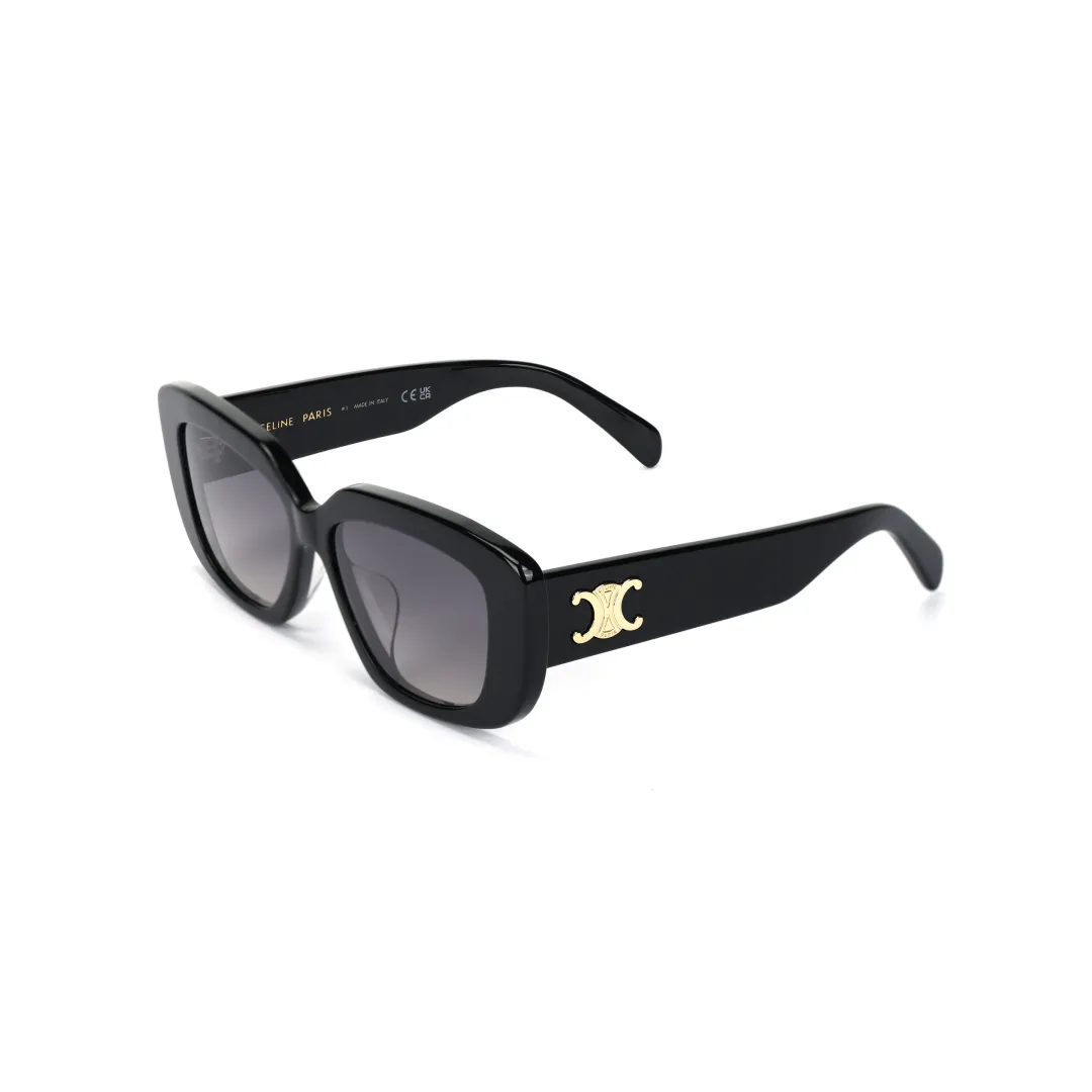 CELINE Eyewear Cat Eye Frame Sunglasses